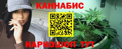 стаф Будённовск