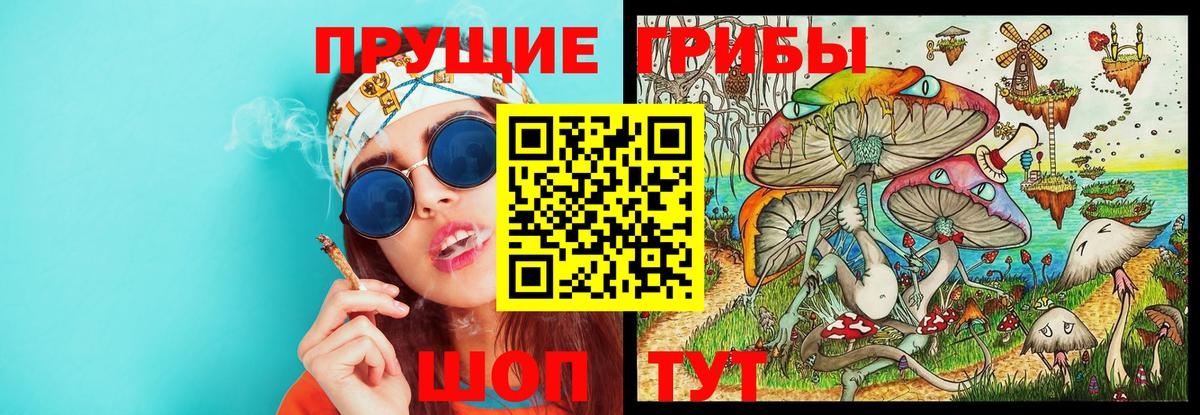 Пушкино  Псилоцибиновые грибы MAGIC MUSHROOMS  Вход с VPN 