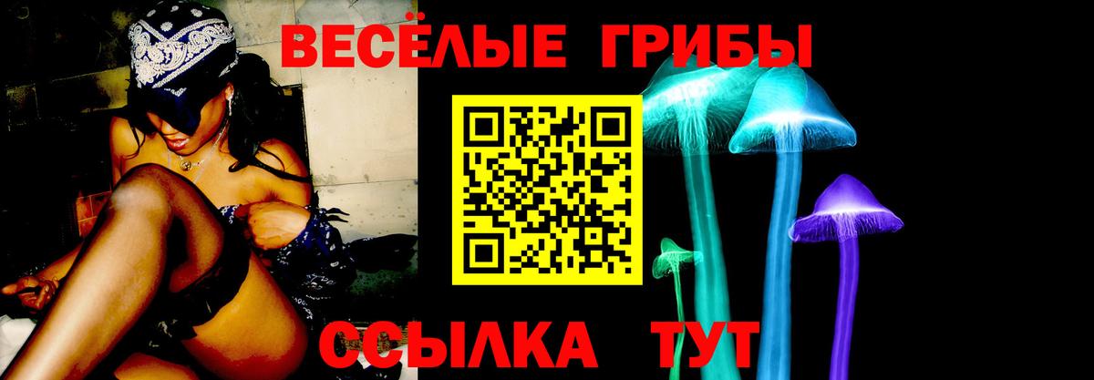 Галлюциногенные грибы ЛСД Пушкино